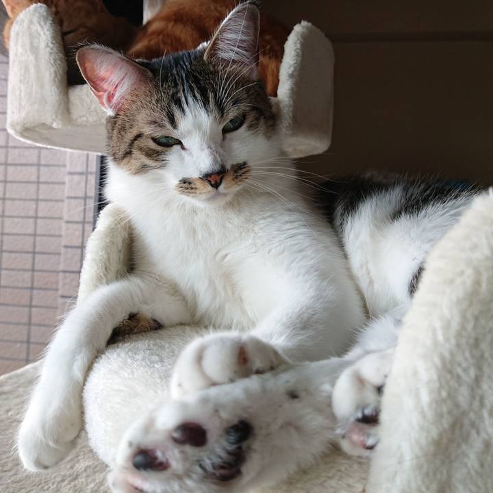 C4818493 35af 47e9 bc70 7bc92c5d85bd 1606023811838