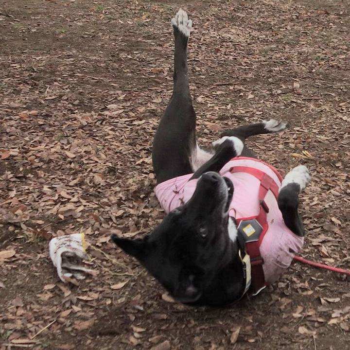 C481d425 70c8 4556 9bf7 11f2a0bbb38d 1702256248038