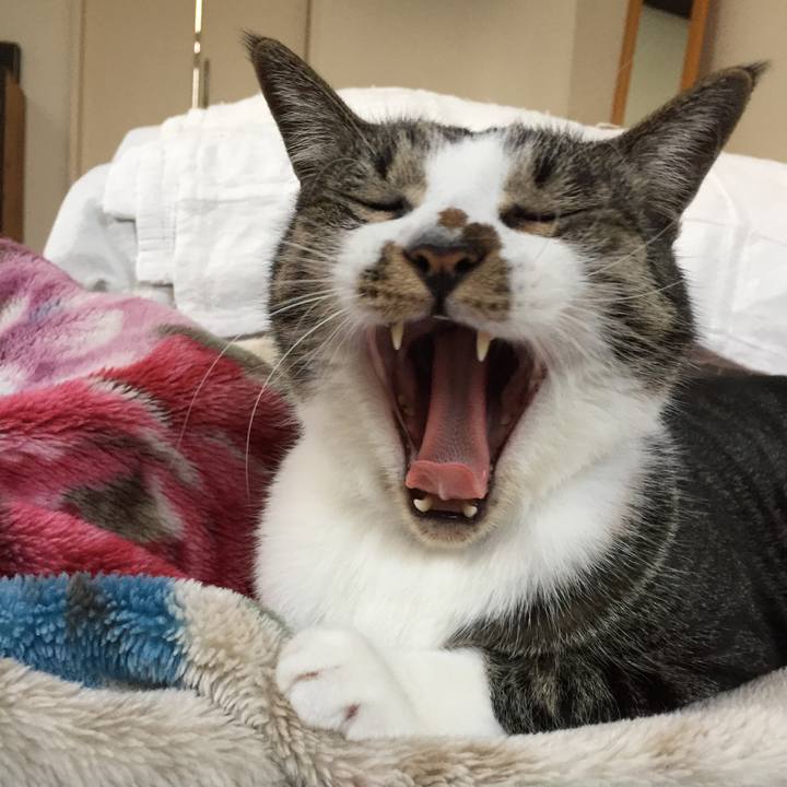 C481e1c8 5478 4f19 9f31 514302b292f0 1511850177532