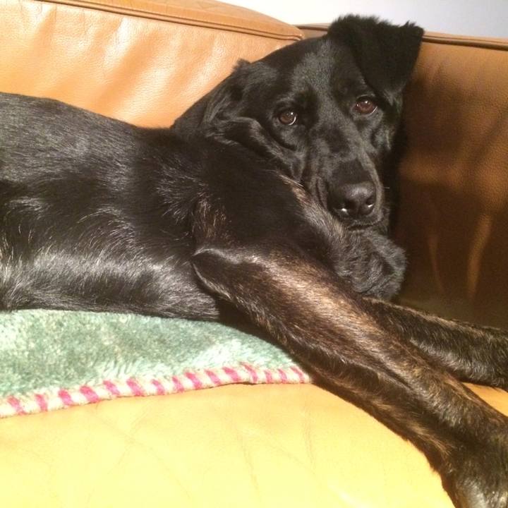 C482129f fb3d 42e3 8693 f2a68d909dbe 1526040281017