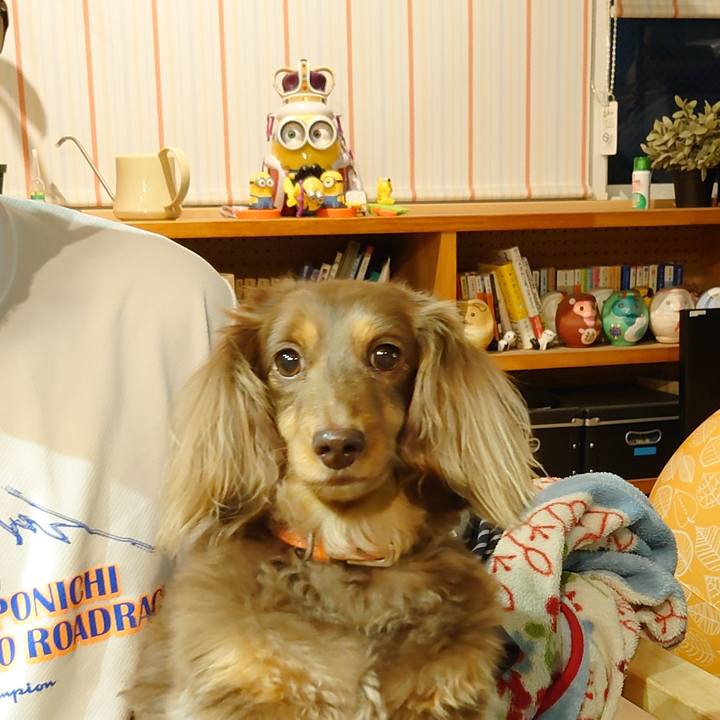 C4822dca f11f 478d 9907 d37ad614bb22 1621005384926