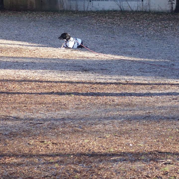 C4824eb3 531f 4f10 a0e3 c4df211f4704 1706491350437