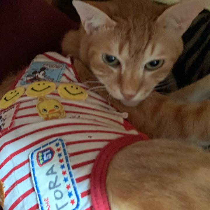 C4828798 4903 4001 bcf9 1abb36465e21 1581145025256