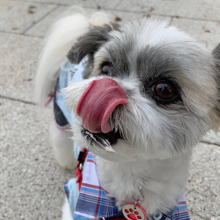 C4829965 97a4 460a 8d96 a18210951148 1571625709467