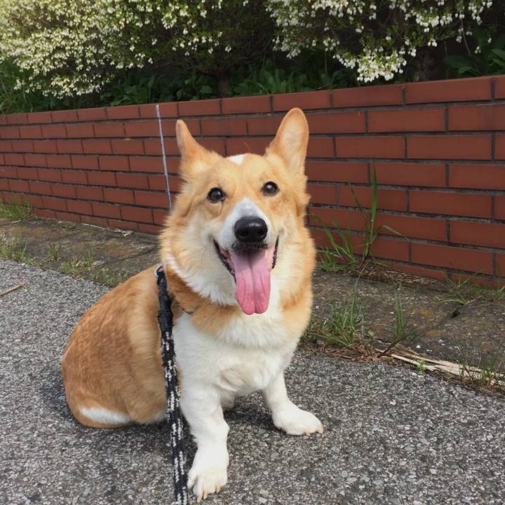 C482ad06 3280 4b17 984d 33dd41a5df10 1773980621656