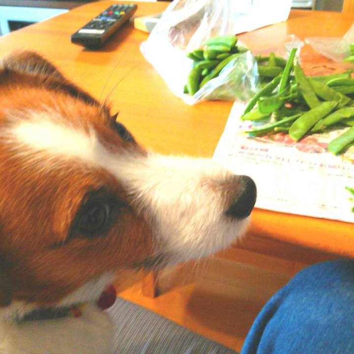 C482f4a1 3a12 4de7 9f08 e86f93d946d0 1526771372911