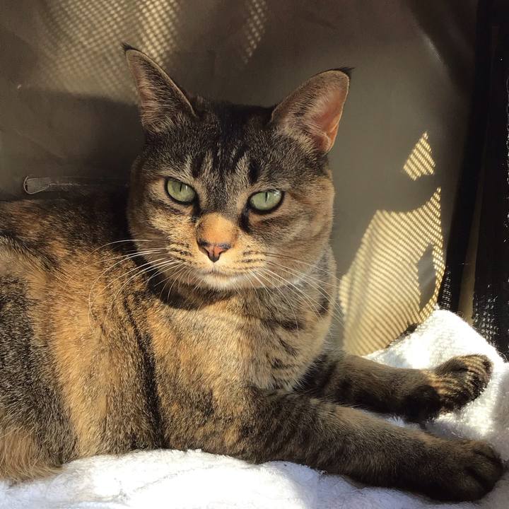 C482f7d1 56d5 4daa af80 424cd18cd584 1711787295231