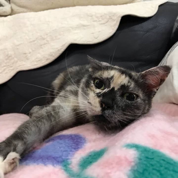 C4830982 058f 458d aaa3 ba769ee19940 1602681006763