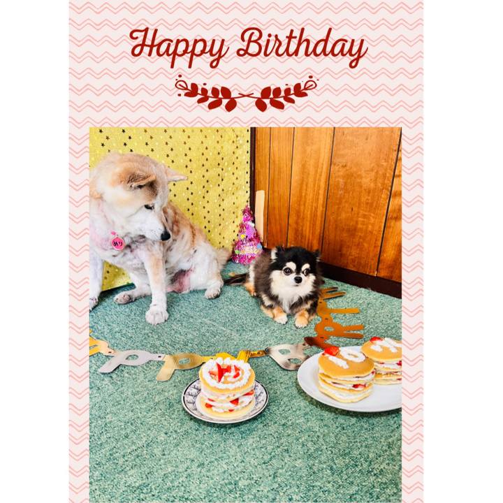 C48310f0 76ca 41e5 b234 d0ea535608aa 1751154058405