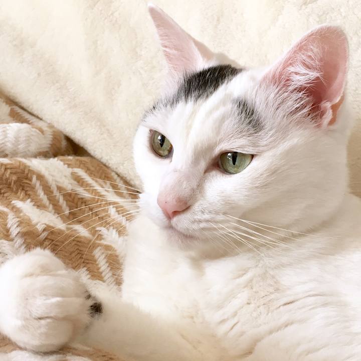 C483185e 60d4 4b47 b911 88ab5f00676f 1569466867093