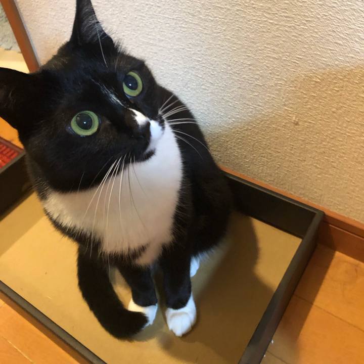 C4832706 fe2f 46d0 b08f 51e51b6c2390 1551307406884