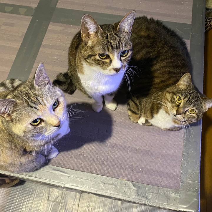 C48371a9 687d 418c a563 6726bcba93c6 1680190713776