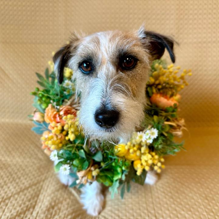 C4838b14 168b 452d a8af d291fc173789 1709861076439