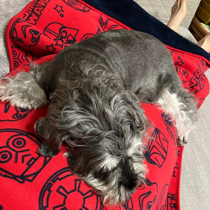 C483af86 702b 46af 94c2 ede844edd172 1728088038395