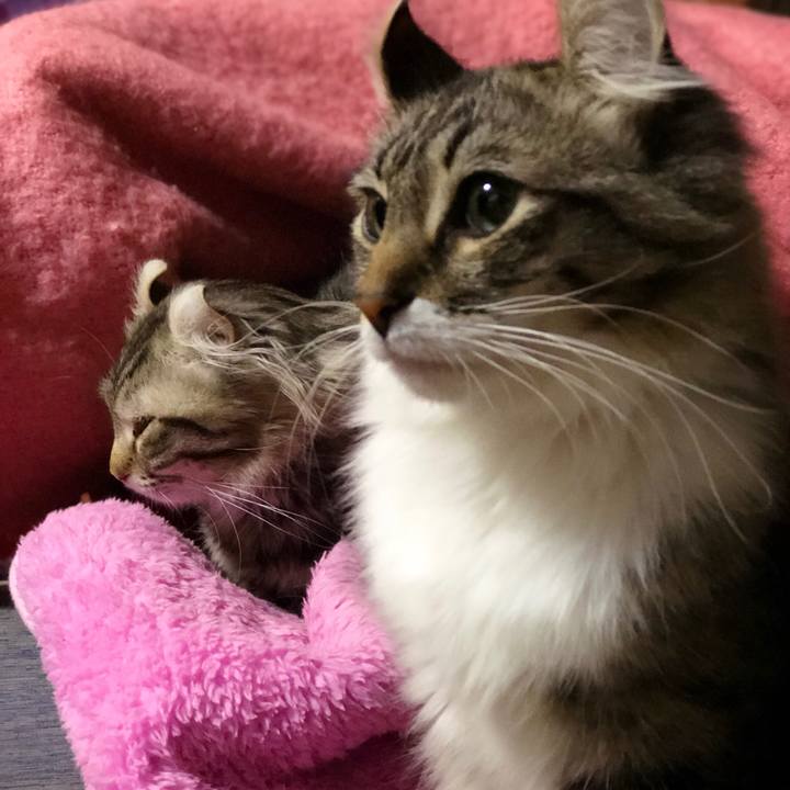 C483b7d8 ebdd 4b96 a05e 03dc7efad50f 1523365984158