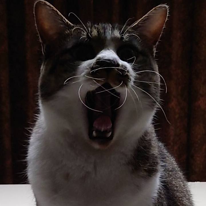 C483c0a9 f46d 45d4 b7f9 dfb81c610aec 1764066076160