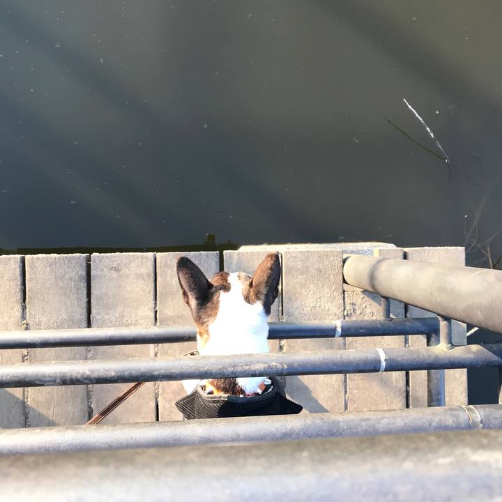 C483f98f 012c 4b00 b0c6 40619dcf2559 1519028906538