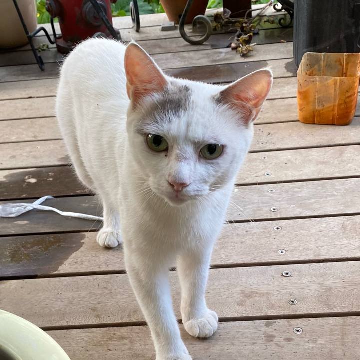 C4841f01 a1b0 44b0 85de ee8518ccd13a 1626818921594