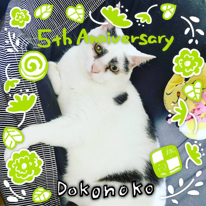 C48448a7 0c73 4959 8a0e cd8158210a4a 1622875740966