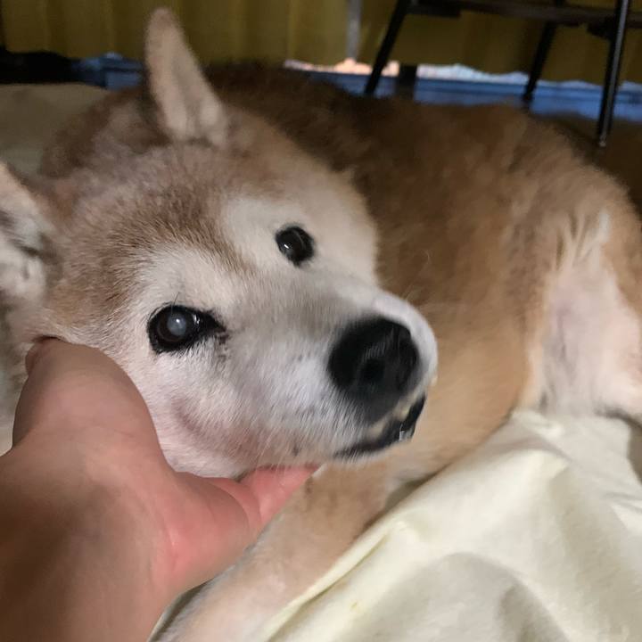 C4846ff6 173d 49a9 826a ecb150f77213 1656844624827