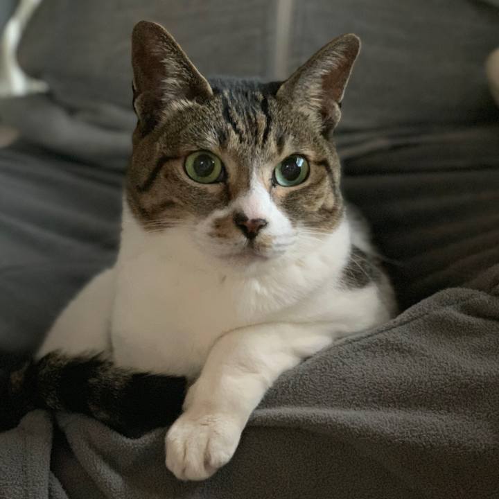 C4847d24 7058 46cc 9764 4ff8099253a6 1553043499992