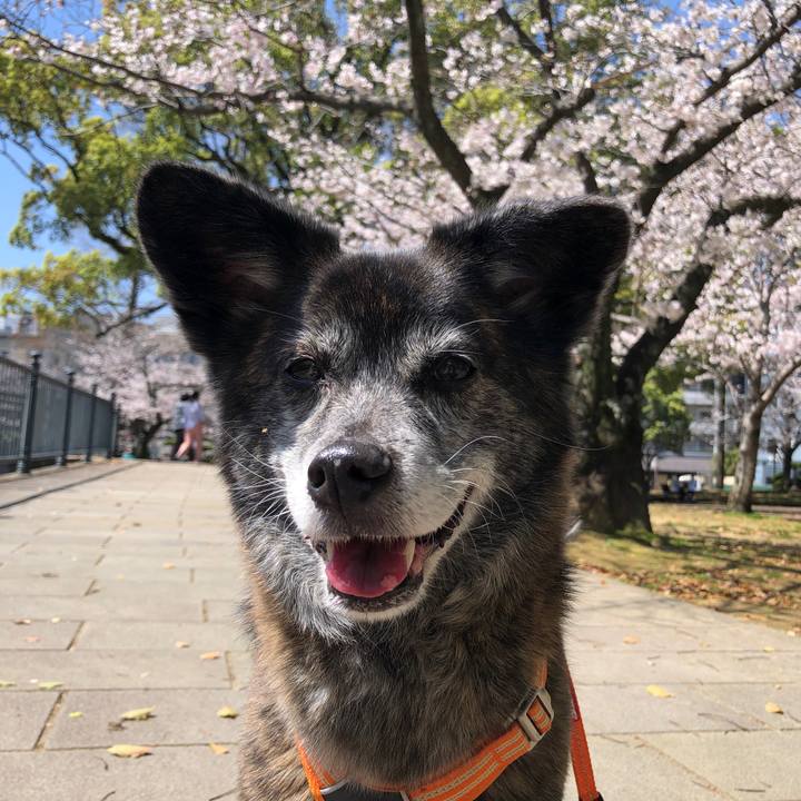 C48483e9 edcd 4e96 abeb 16b5a1a8d8e6 1680181603472