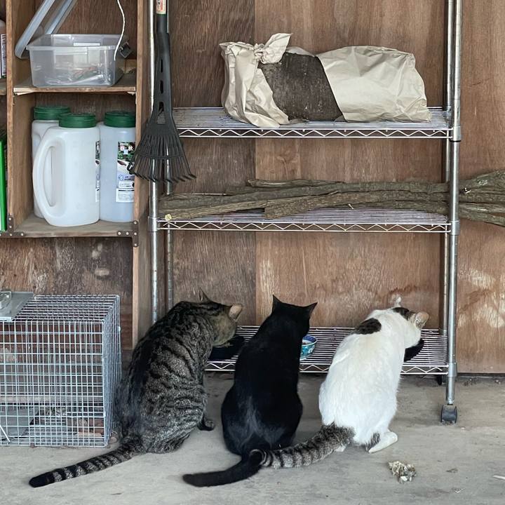 C484a066 0906 4909 8ad6 4e01e9dc2461 1713114347318