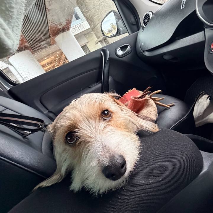 C484f7ea 3c5a 45de 87f9 9fb0576e281b 1772445816913