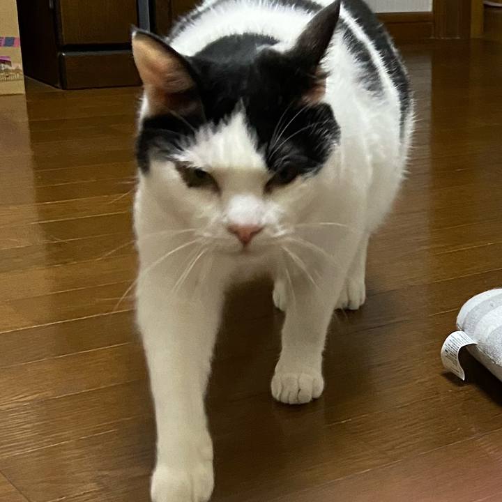 C484fd34 17da 487b b5ba a0a1c8dc5549 1589466227654