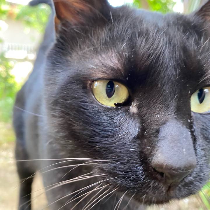 C48504a8 3ba1 4b34 ae51 738952301ea5 1690192974277