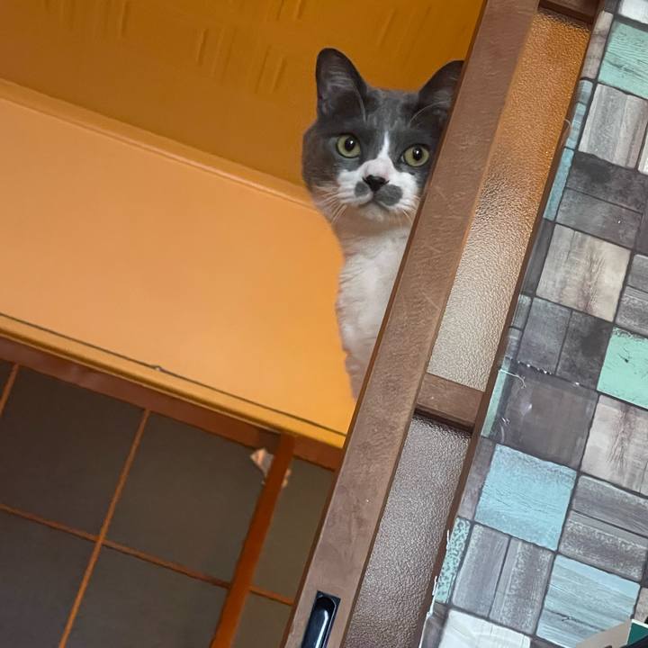 C4853e55 edb9 4fbd 861a be03a384c542 1715851297542