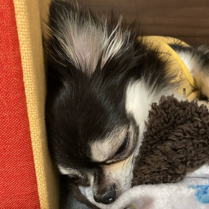 C4855829 9c81 47b3 a6a5 d33356e21bf9 1699679967963