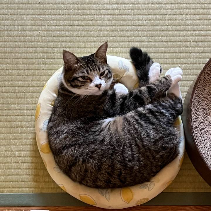 C48568b5 786e 4b6b 8b82 d5a5ff3866df 1725691012325