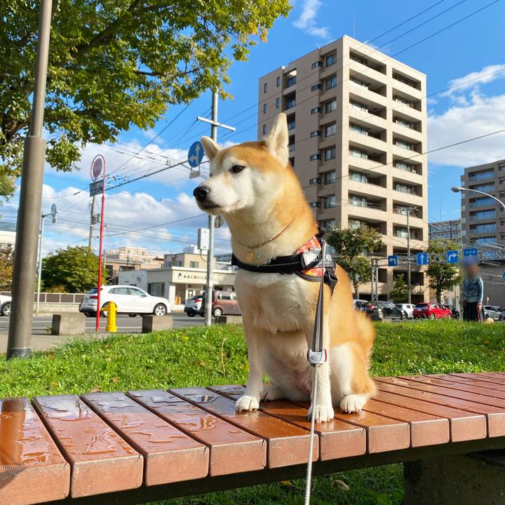 C485d32f b761 422e 8fe4 3e606eb886e5 1602034322538