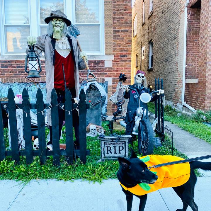 C485e073 74b9 4a2e 80df cfe696dda5ac 1635692921040