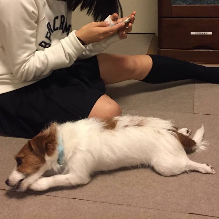 C485e403 5533 49dd 9e64 0406f0635dd6 1511043112119