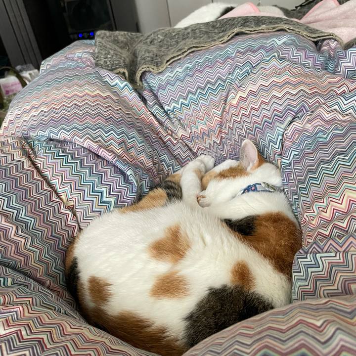 C4864ccc afbb 47d3 a9a2 9fef1331e62e 1702689534604