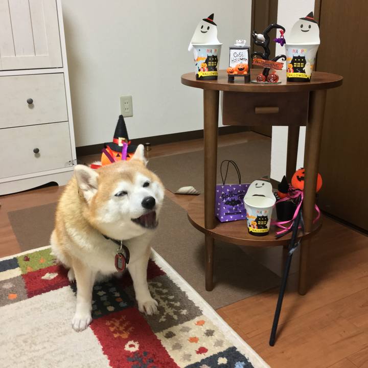 C4865183 7aff 40e7 b664 24a2bfe9b8f4 1572517786785