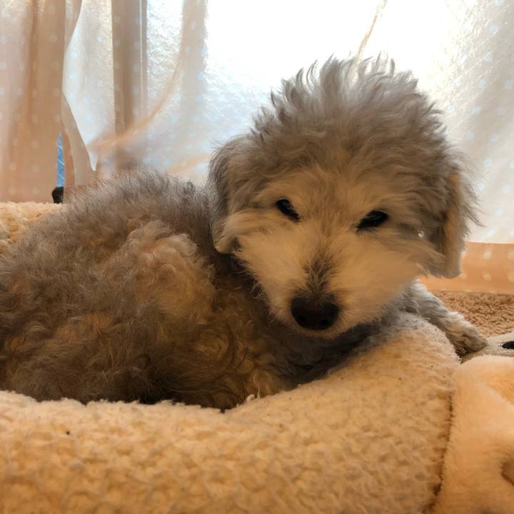 C486557e 881e 4968 abad d57b69762037 1611879099319