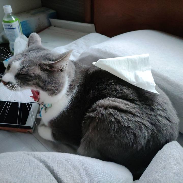 C4869845 3444 494d 8fa6 c67d3085a837 1673766469717