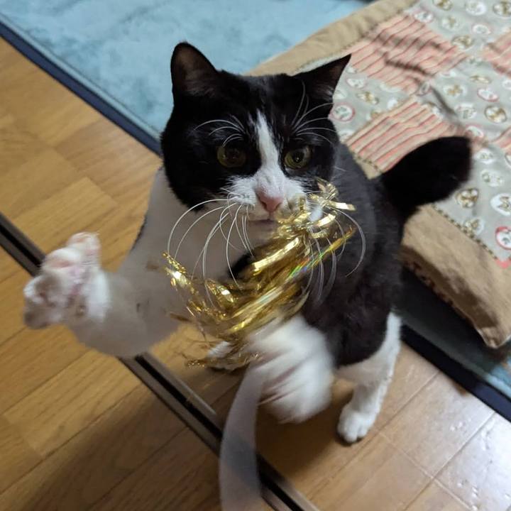 C486a174 8939 4d22 b817 1bfdf2323a86 1735542140077