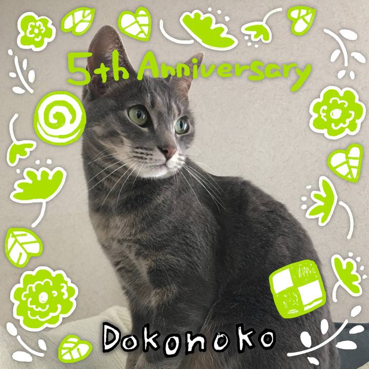 C486a6c6 6a17 491c b34f 586e83d0cdd2 1622861955104