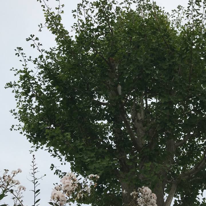 C486a87a 8f27 4ee7 8572 20d9c83200b6 1537430379229