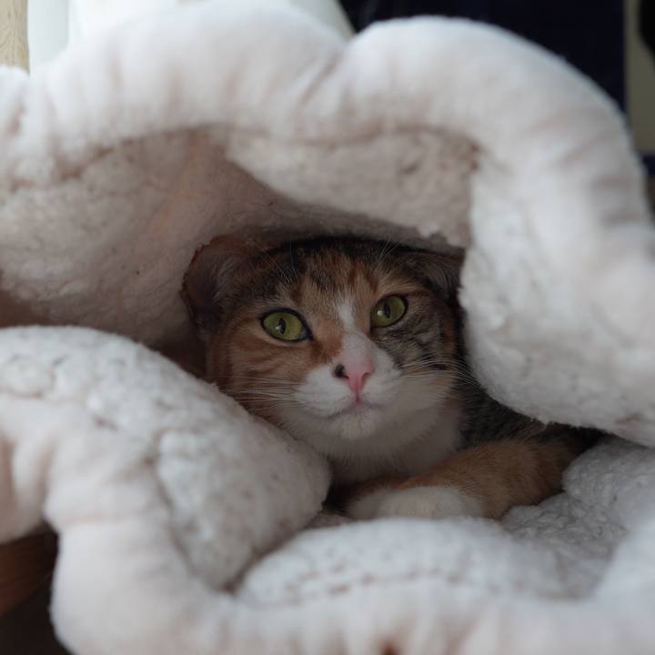 C486b482 14fb 456d 9407 05c75f2a6227 1609937580138