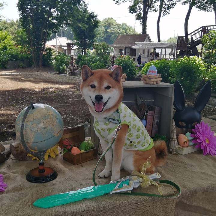 C486f103 5ed2 46ed b51a 2470e3aa5ea6 1685199886213