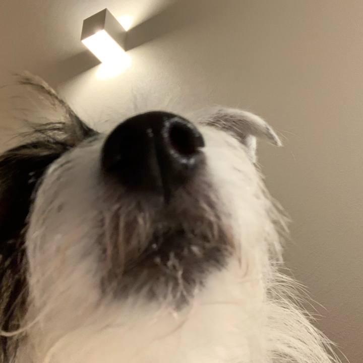 C486f94e fc35 47f9 bf78 7fc35eff9856 1572346969732