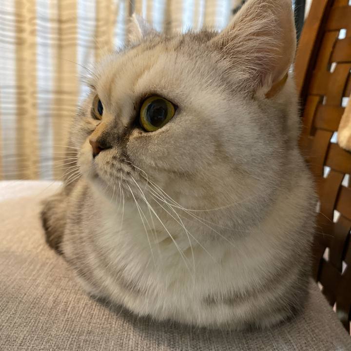 C48717f2 d3c4 4ef3 b976 6bc1b701c982 1739699581353