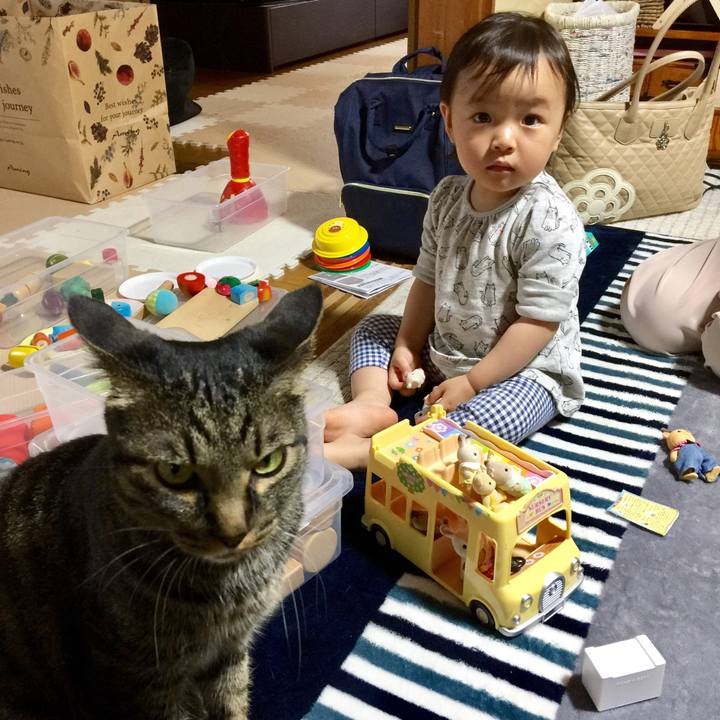 C487335b c6f4 4678 9612 b5853b0de83f 1527318387860