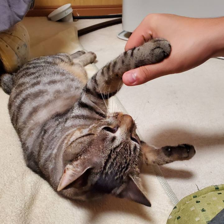 C4873cd6 e40d 42cf b5de c5af9ed17845 1696762026664