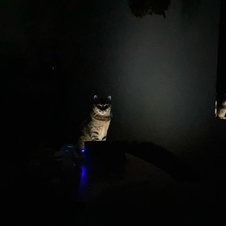 C4876a13 a429 4160 b46b b946b1f5bdbd 1615116515449